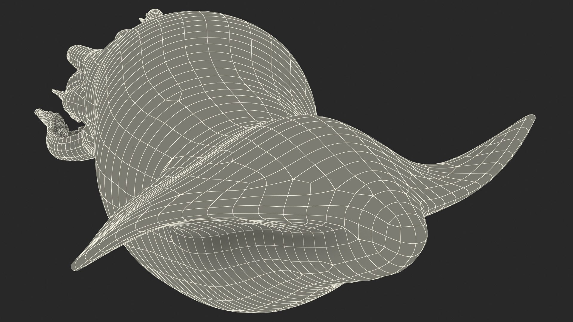 3D model arrow squid doryteuthis plei https://p.turbosquid.com/ts-thumb/3f/AiOp24/cP1tNUSm/arrowsquiddoryteuthispleiriggedc4dmodel025/jpg/1600868649/1920x1080/fit_q87/c2ad12e5456d555fc1a13bddf9e1e3b778e8e686/arrowsquiddoryteuthispleiriggedc4dmodel025.jpg