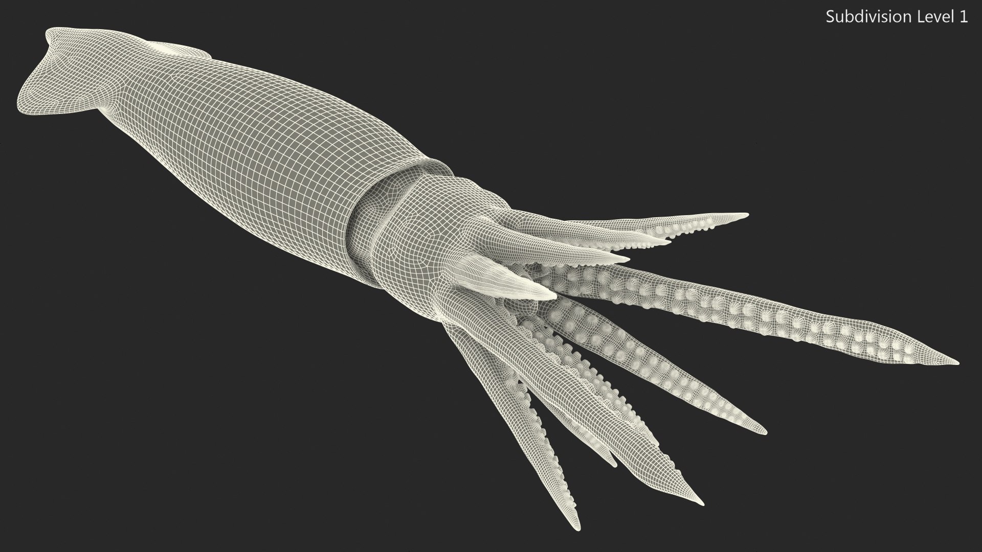 3D model arrow squid doryteuthis plei https://p.turbosquid.com/ts-thumb/3f/AiOp24/qVIQGmIZ/arrowsquiddoryteuthispleiriggedc4dmodel018/jpg/1600868592/1920x1080/fit_q87/44f236ddbebf8f3be0c3c552be5cbecdac4a9bdb/arrowsquiddoryteuthispleiriggedc4dmodel018.jpg