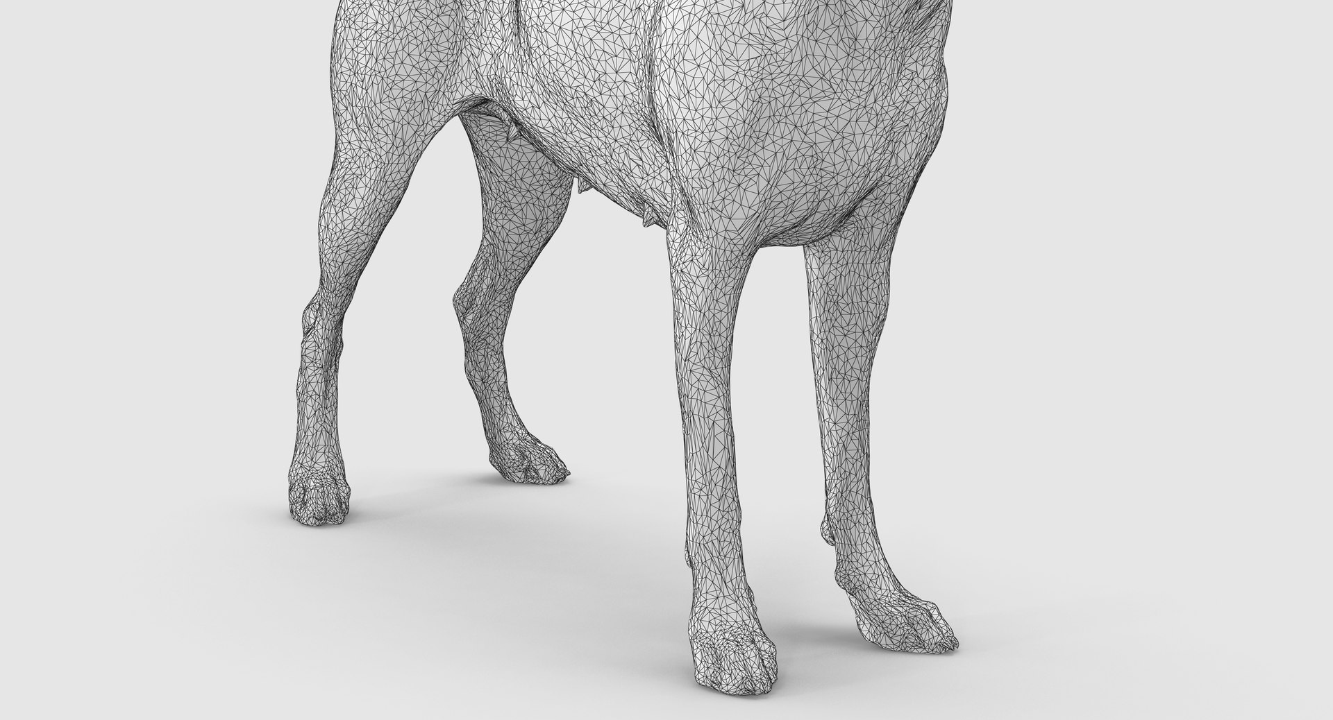 3D doberman scanned archviz https://p.turbosquid.com/ts-thumb/3f/DZiiSl/4JLFLdsn/100037/png/1541184853/1920x1080/fit_q87/79f6482c438ded0ab40b847275f178654264a984/100037.jpg