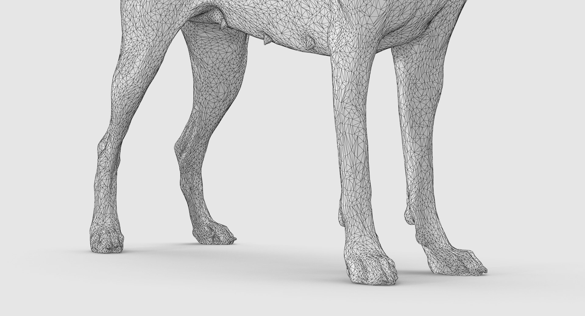 3D doberman scanned archviz https://p.turbosquid.com/ts-thumb/3f/DZiiSl/66d6E4Bm/100020/png/1541184853/1920x1080/fit_q87/9bb74d3a43e027591a6dc9d578b6dc439cc5e03a/100020.jpg