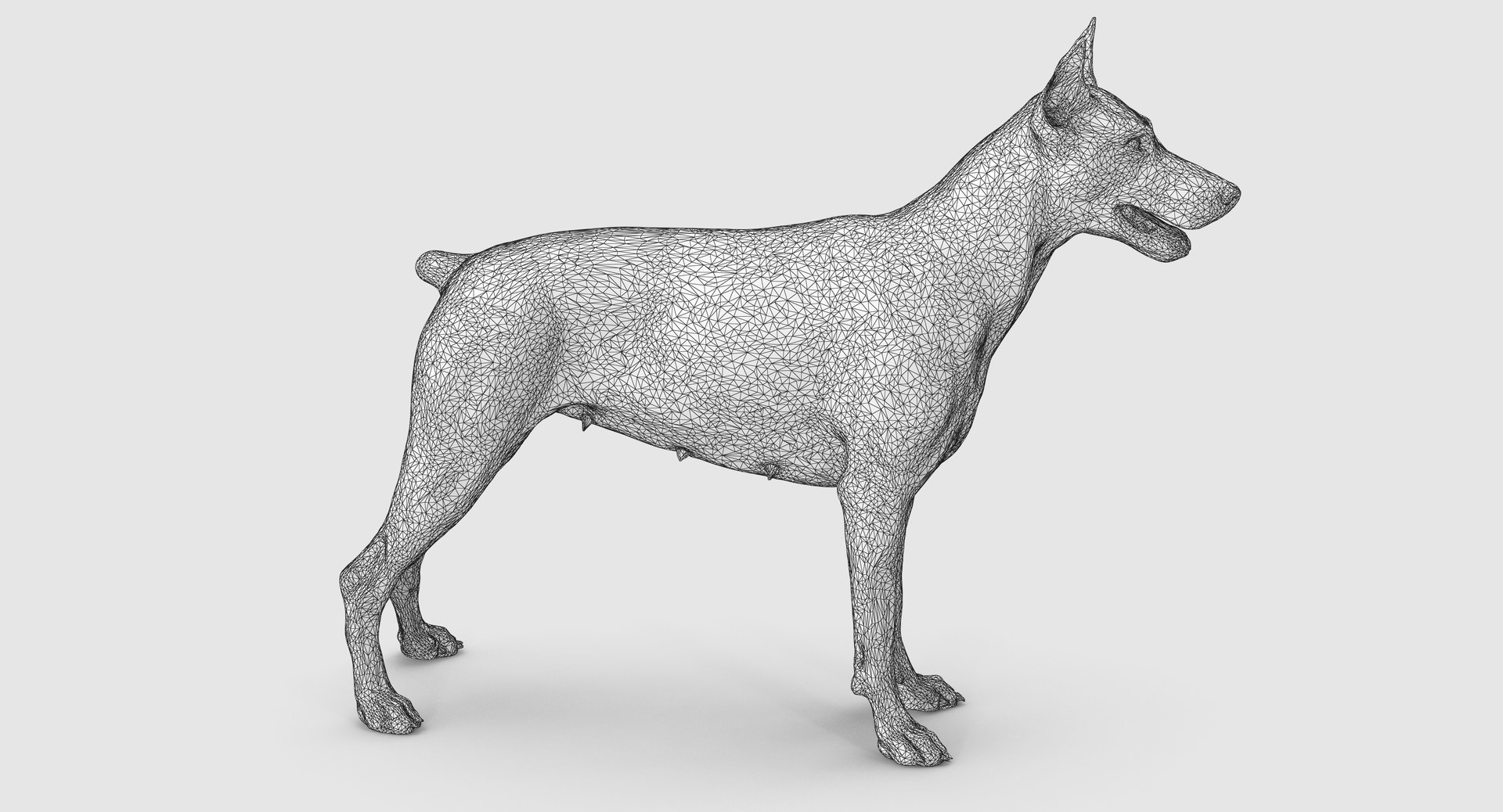 3D doberman scanned archviz https://p.turbosquid.com/ts-thumb/3f/DZiiSl/6GYDuypj/100022/png/1541184853/1920x1080/fit_q87/ceabbdc7c9c10d9b7ababaa59ef61a4f4963f9e0/100022.jpg