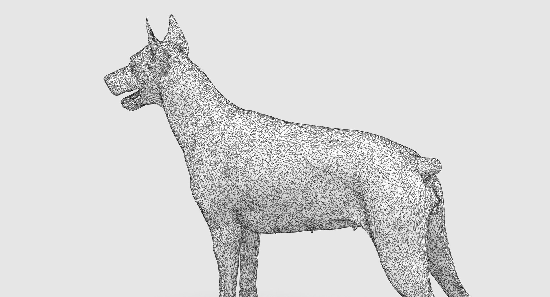 3D doberman scanned archviz https://p.turbosquid.com/ts-thumb/3f/DZiiSl/75vCQiko/100024/png/1541184853/1920x1080/fit_q87/be2eed23f26038f31d859e146569595f30479f35/100024.jpg