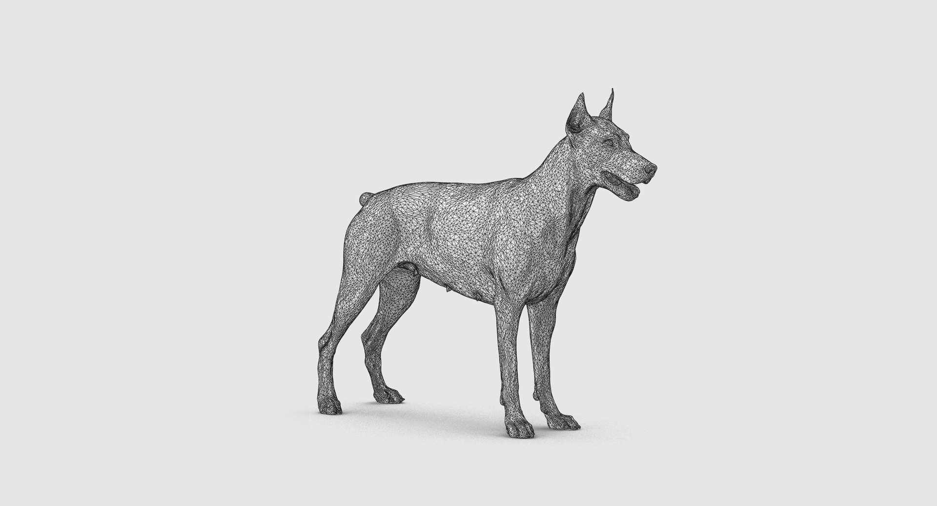3D doberman scanned archviz https://p.turbosquid.com/ts-thumb/3f/DZiiSl/E79n65fD/100023/png/1541184793/1920x1080/turn_fit_q99/762d783a42615e697db2f08d723c08d2e7570f79/100023-1.jpg