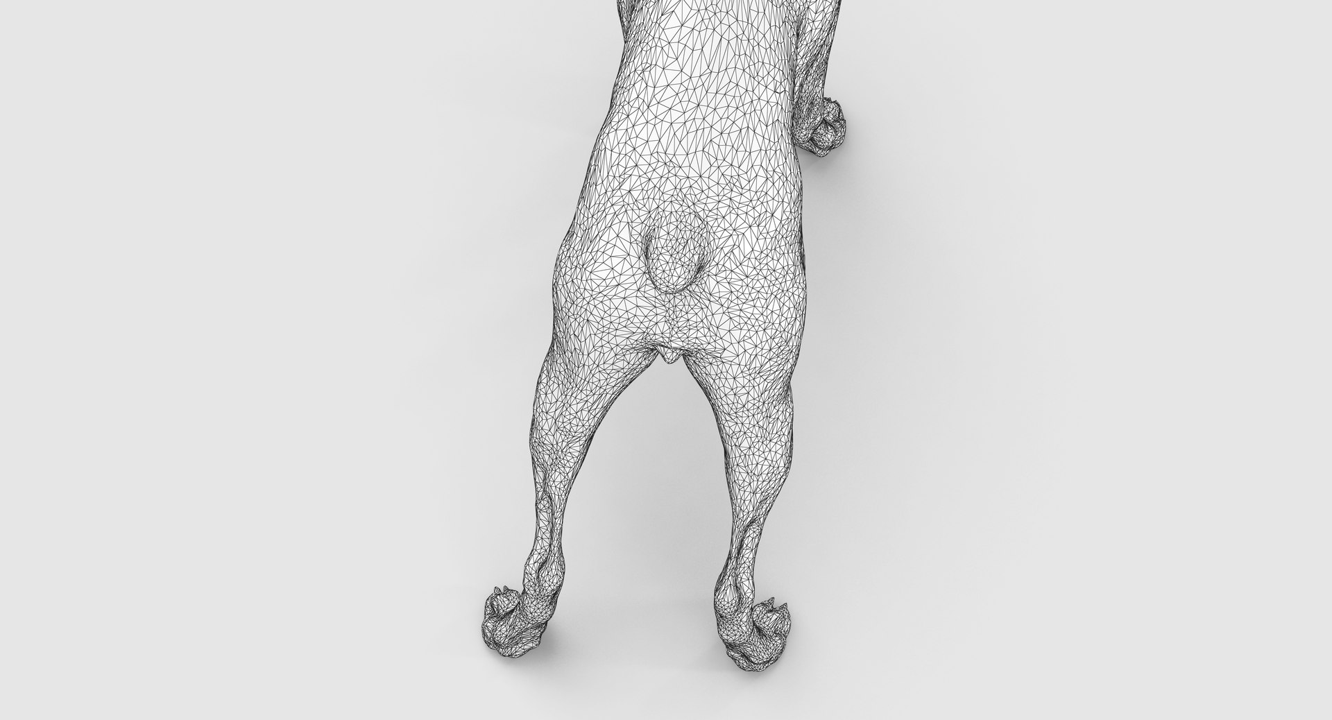 3D doberman scanned archviz https://p.turbosquid.com/ts-thumb/3f/DZiiSl/XRsyHt7d/100034/png/1541184853/1920x1080/fit_q87/d40e76f8c5c92a8f90e3ed09de35e8bc69f543fd/100034.jpg