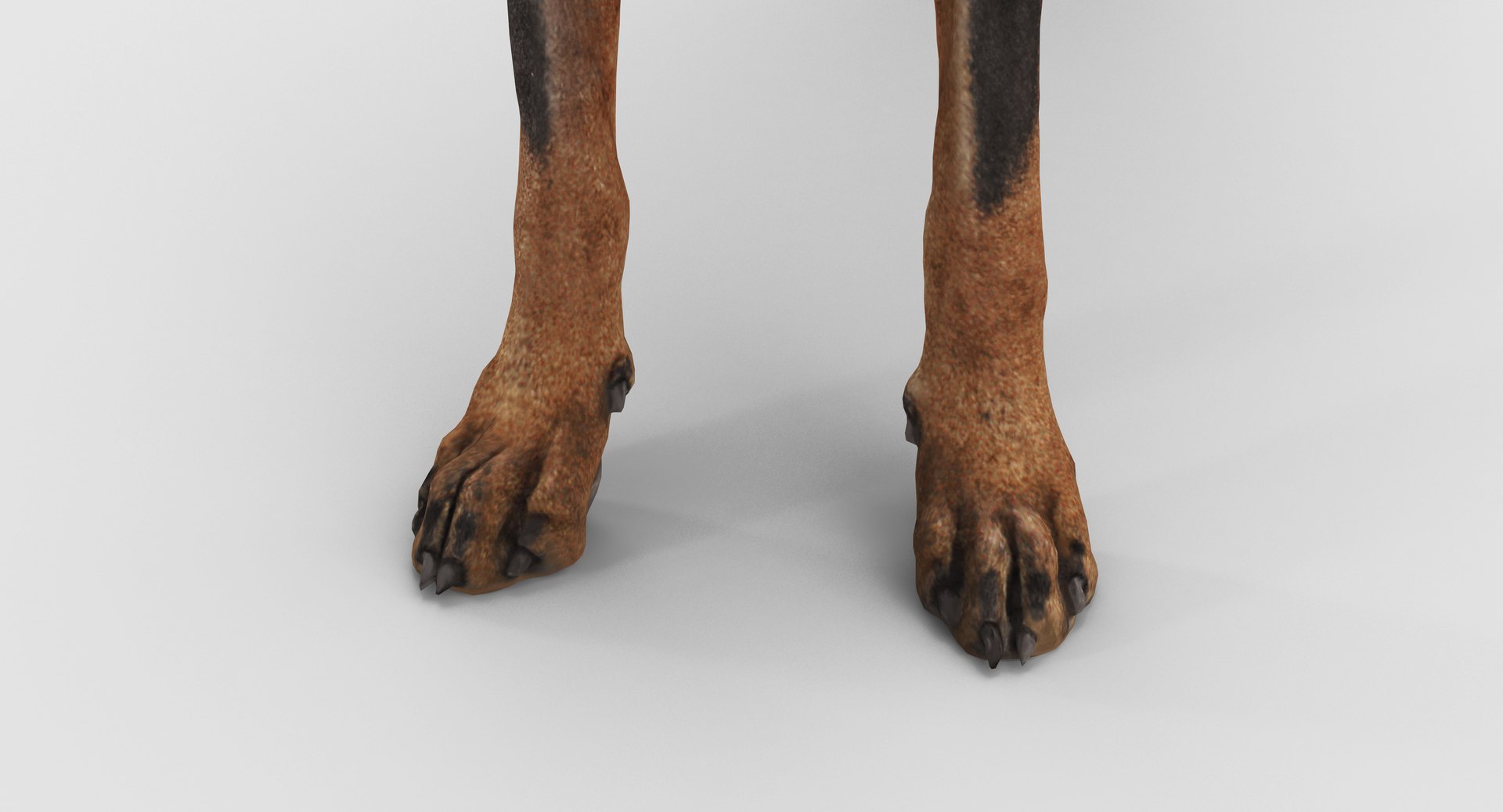 3D doberman scanned archviz https://p.turbosquid.com/ts-thumb/3f/DZiiSl/uLXGTDQI/100010/png/1541184853/1920x1080/fit_q87/b12ad562a46b4d3f921ea6fcb1aefc115da6434d/100010.jpg