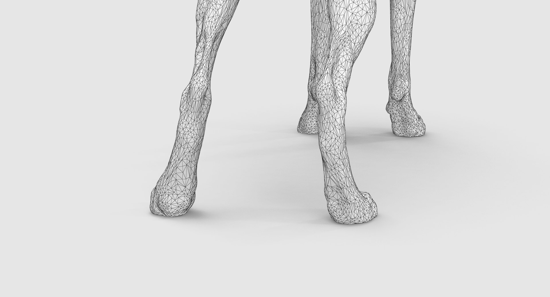 3D doberman scanned archviz https://p.turbosquid.com/ts-thumb/3f/DZiiSl/xOtliTmA/100031/png/1541184853/1920x1080/fit_q87/3a32646d3984d4989dcb527f6d0806474842f361/100031.jpg