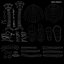 Human Respiratory System