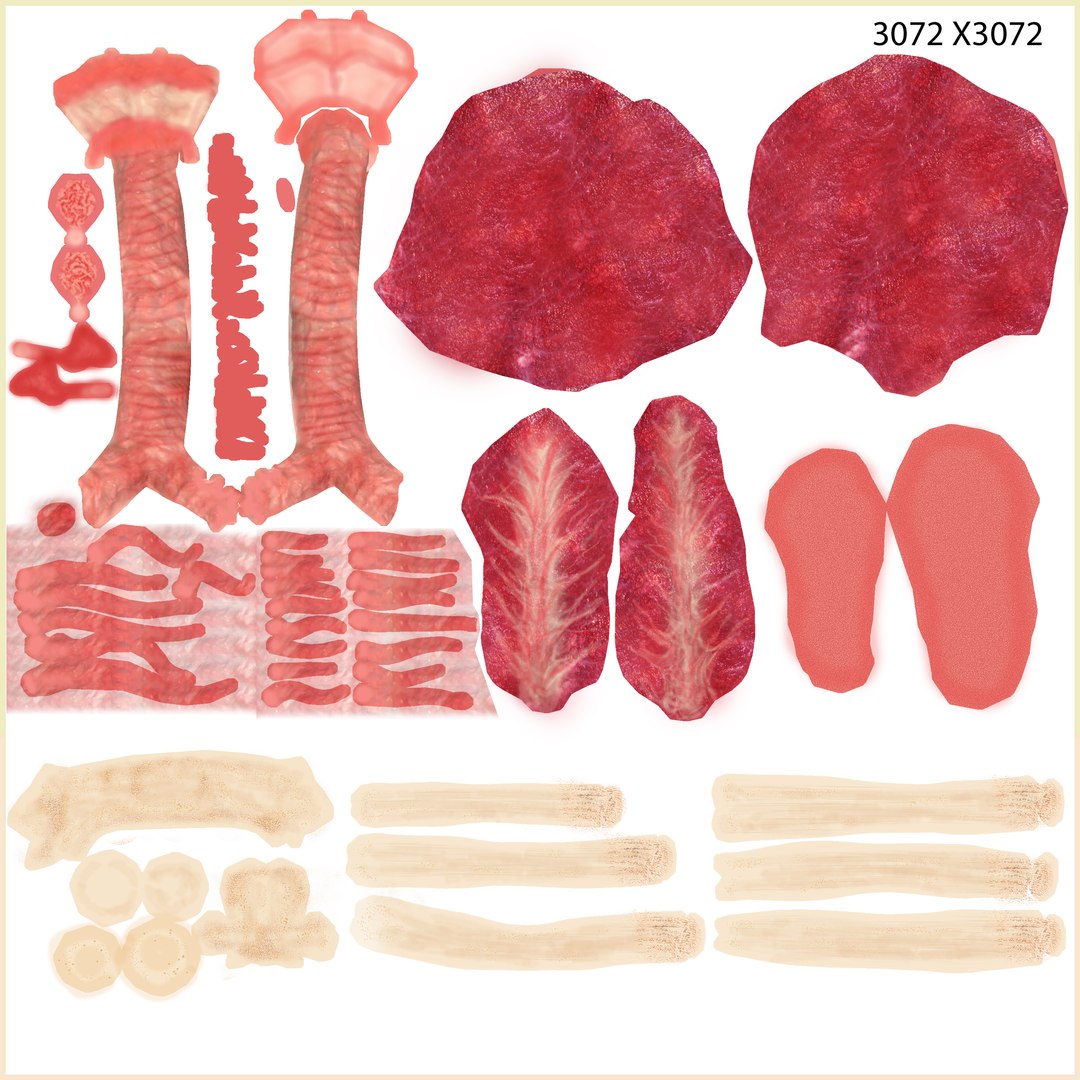 human respiratory obj https://p.turbosquid.com/ts-thumb/3f/mosilr/MFNrcS3T/zoo_humanrespiratorysystem_col/jpg/1341667883/1920x1080/fit_q87/79d35e865e934a4ca985fdb4798f1df804fc41c9/zoo_humanrespiratorysystem_col.jpg