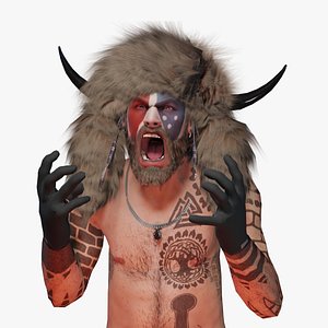 Viking Capitol invader