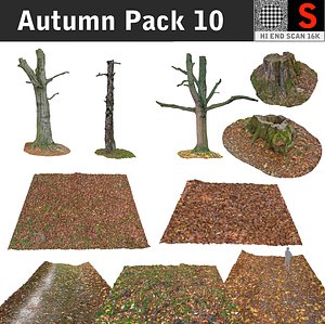maya autumn pack 10