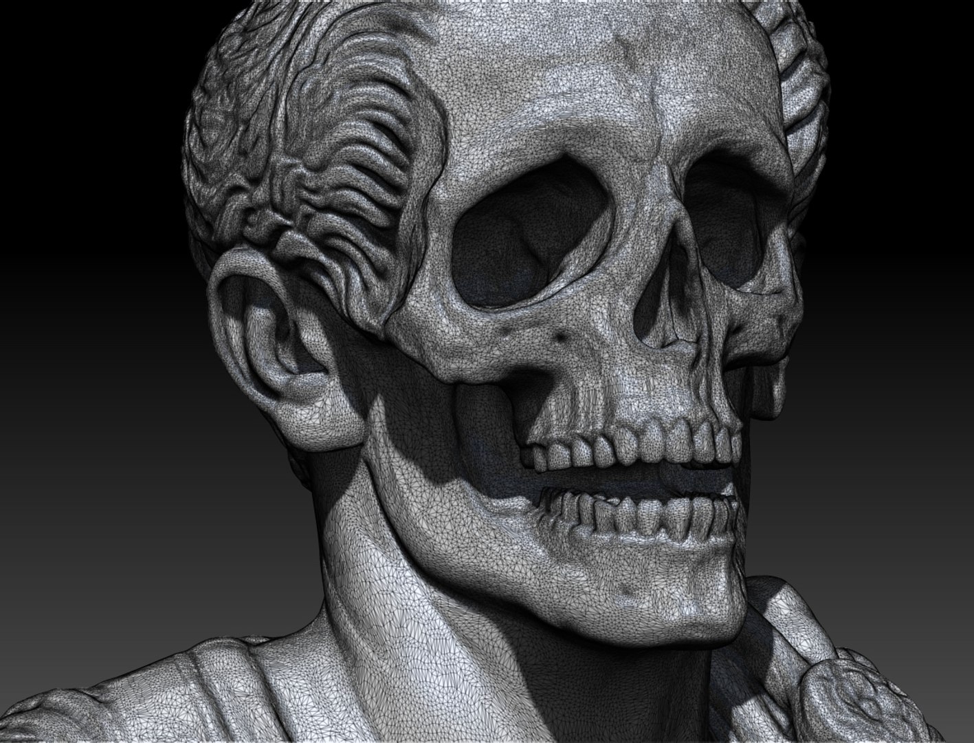 caesar skull 3D model https://p.turbosquid.com/ts-thumb/3g/CmOMMr/avfpCQZY/zbr4455ushdocument/jpg/1559165105/1920x1080/fit_q87/d3828e0b248093e2bef302f6f9e11e3cabe2c5c3/zbr4455ushdocument.jpg
