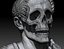 Caesar Skull Bust