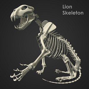 max rigged lion skeleton bones
