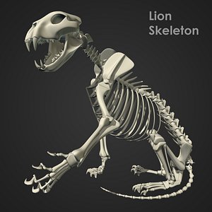 Lion Skeleton RIG