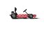 Carreras de karts