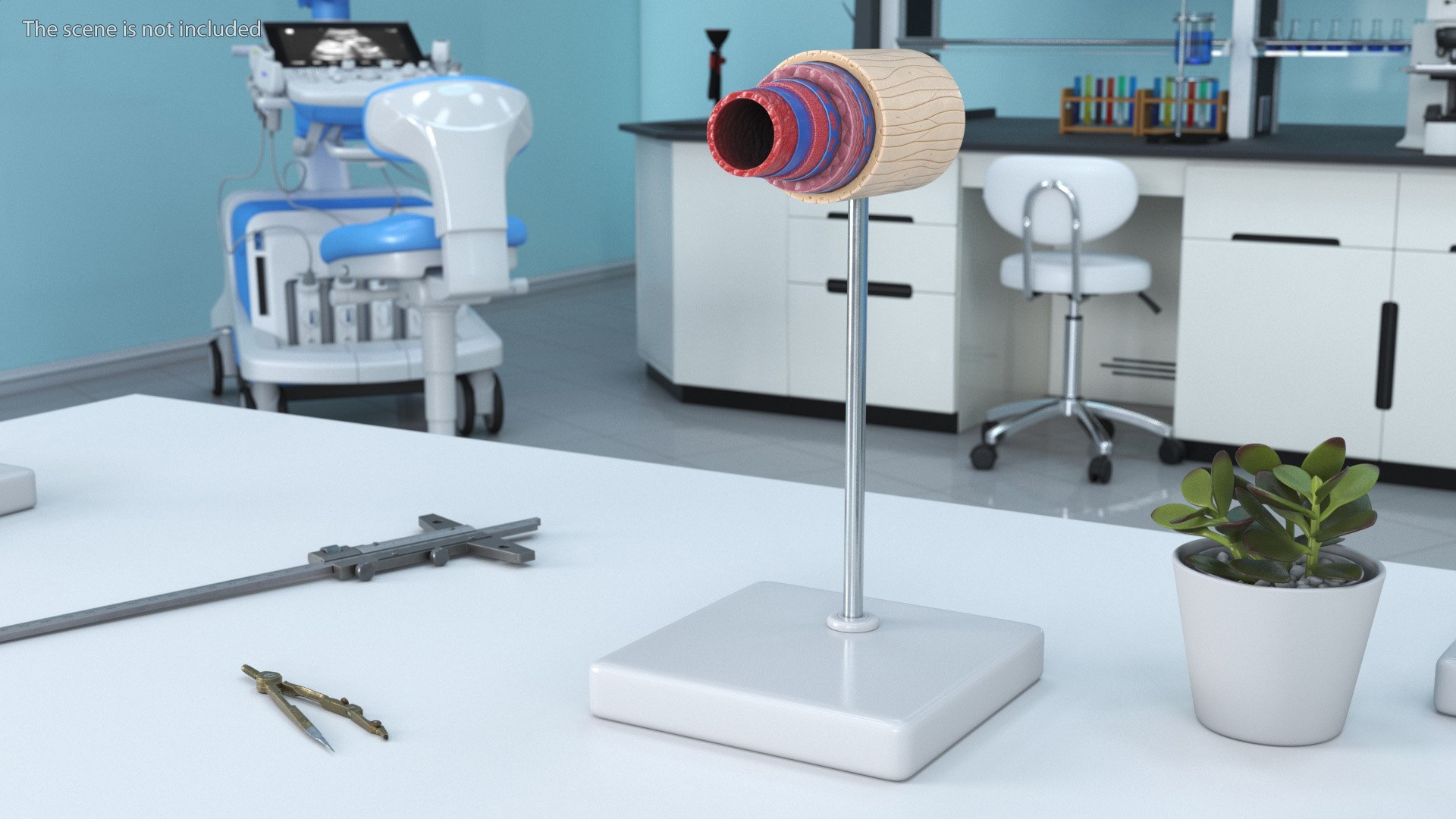 Anatomical Model of Artery in Cross Section on Shaft 3D model https://p.turbosquid.com/ts-thumb/3g/k5r1MX/OG/anatomical_model_of_artery_in_cross_section_on_shaft_003/jpg/1746909272/1920x1080/fit_q87/81d80c0ed6405d2684c7411e18cd42107ca05139/anatomical_model_of_artery_in_cross_section_on_shaft_003.jpg