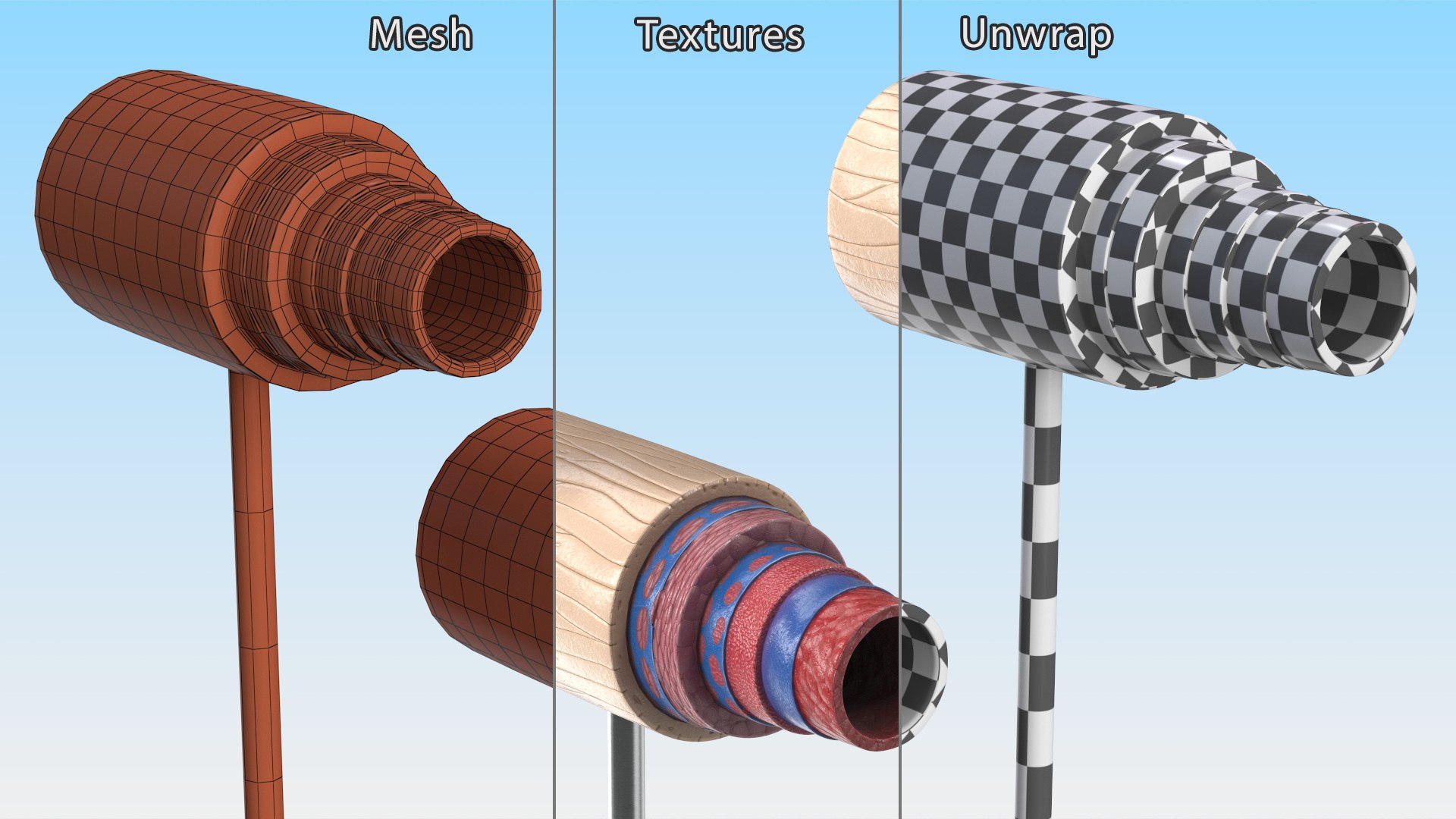 Anatomical Model of Artery in Cross Section on Shaft 3D model https://p.turbosquid.com/ts-thumb/3g/k5r1MX/WV/anatomical_model_of_artery_in_cross_section_on_shaft_011/jpg/1746909296/1920x1080/fit_q87/e526f19cab7b0fd3806091e273a18418ee90e8d3/anatomical_model_of_artery_in_cross_section_on_shaft_011.jpg