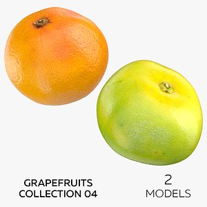 3D Grapefruits Collection 04 - 2 models