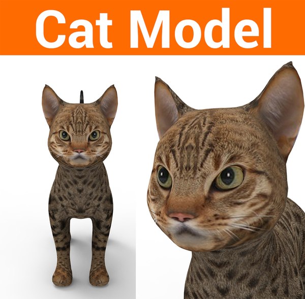 3D cute cat