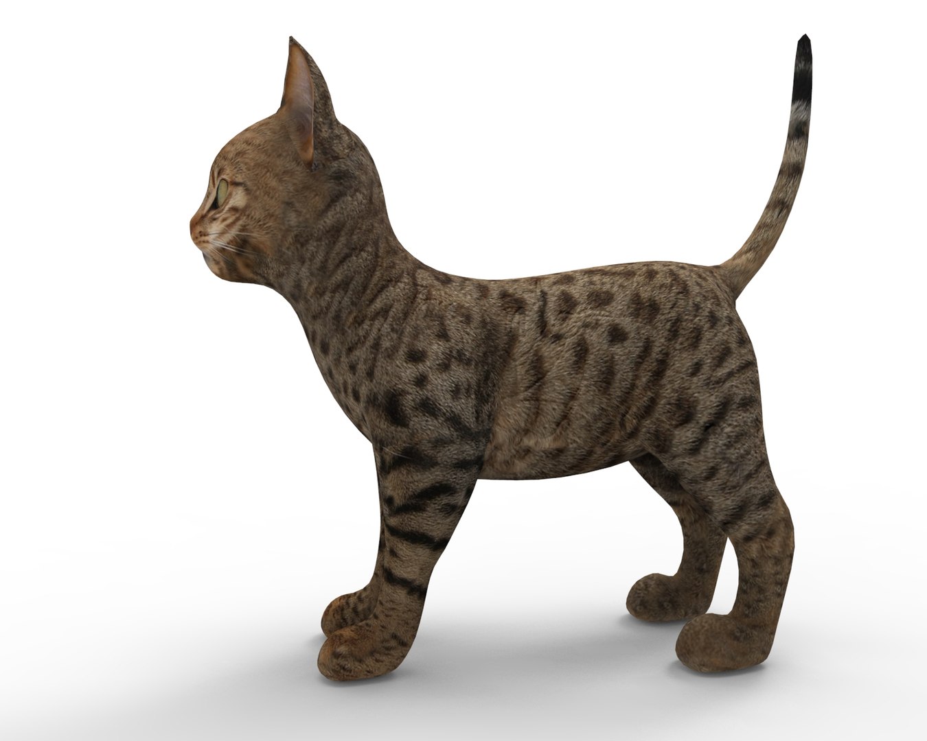 3D Cute Cat - TurboSquid 1193823