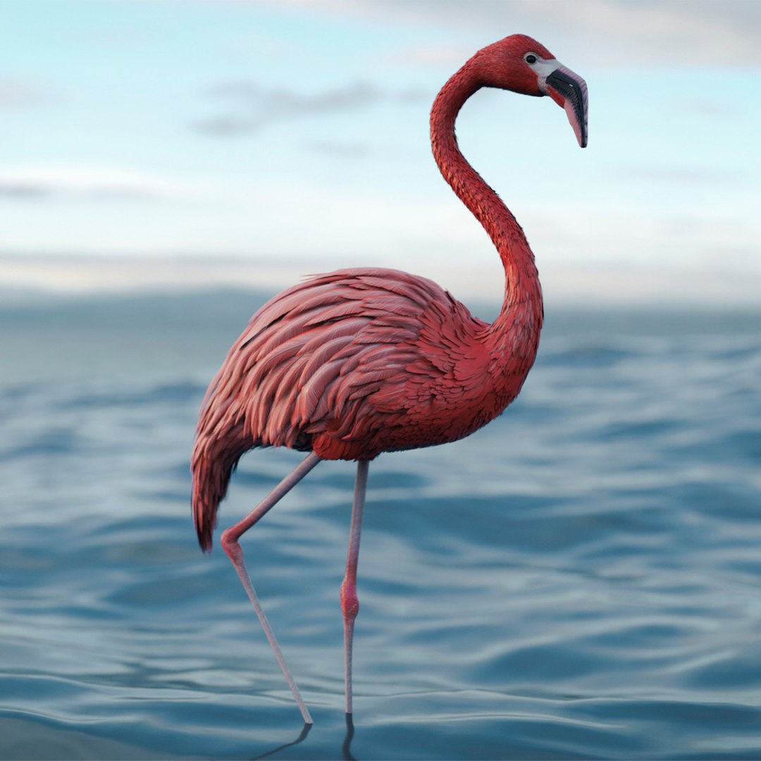 Bird Flamingo Pink Animated Rigged for Blender 3D model preview