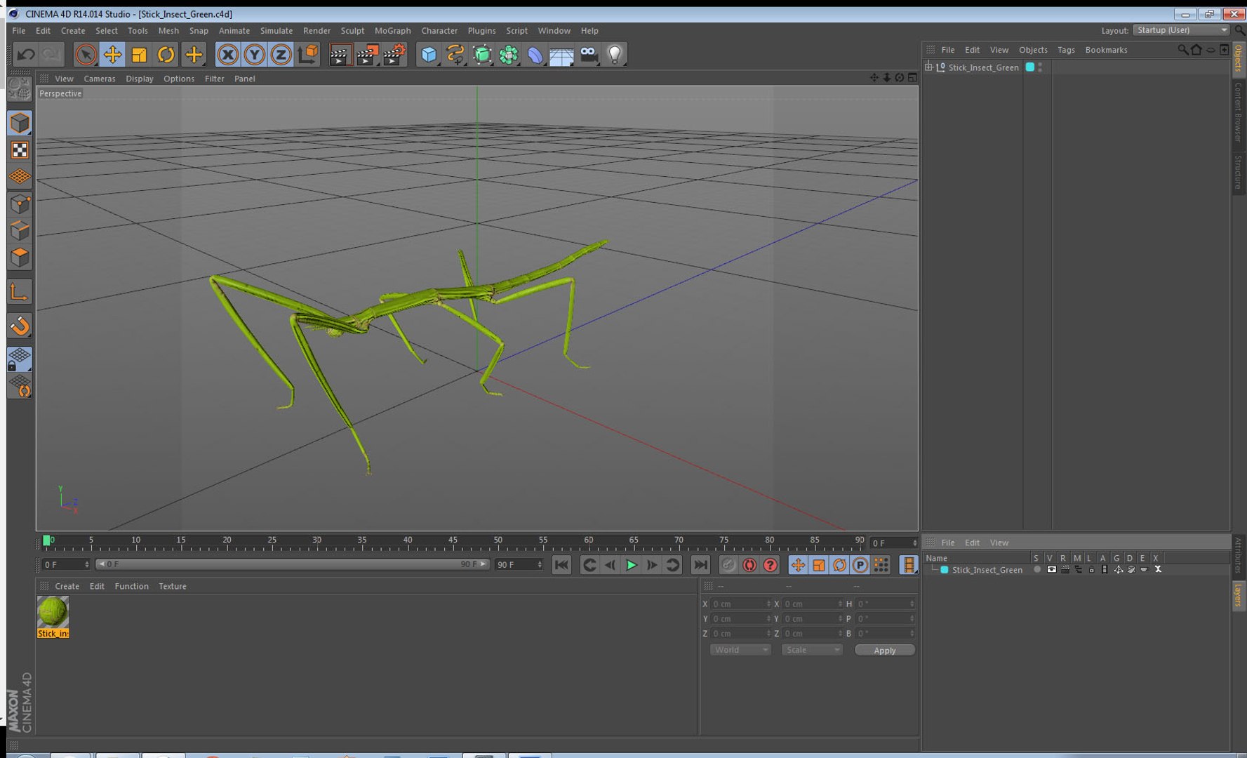stick insect green 3D model https://p.turbosquid.com/ts-thumb/3h/EfMI5l/3igpLwcb/stickinsectgreen3dmodel018/jpg/1573171195/1920x1080/fit_q87/deca4b36b2b47f663c911a744f95e0cc2581e325/stickinsectgreen3dmodel018.jpg