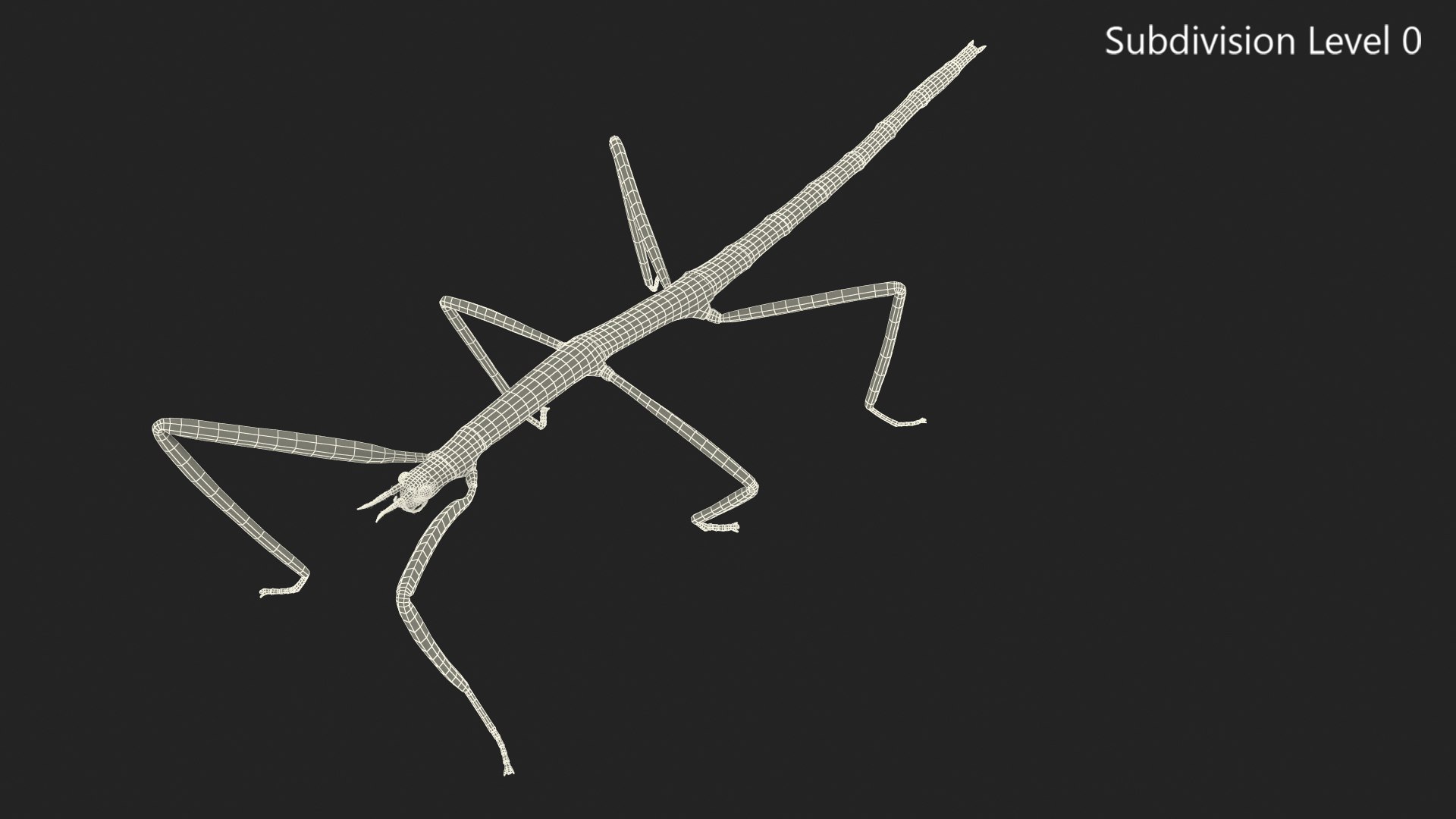 stick insect green 3D model https://p.turbosquid.com/ts-thumb/3h/EfMI5l/945LXUoz/stickinsectgreen3dmodel013/jpg/1573171170/1920x1080/fit_q87/d2d0da970c863849460433f579947ce8129ecf05/stickinsectgreen3dmodel013.jpg