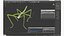 Stick Insect Green
