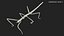 Stick Insect Green