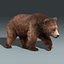 brown bear 3 fur 3d model