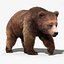 brown bear 3 fur 3d model