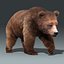 brown bear 3 fur 3d model