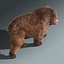 brown bear 3 fur 3d model