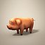 Cartoon Pig