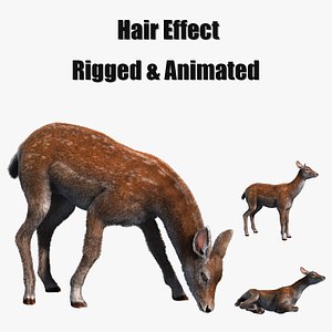 hair effect deer model