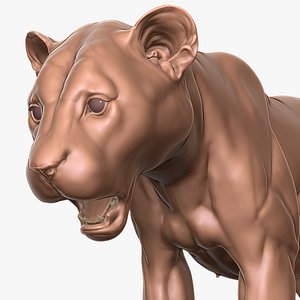 3D Jaguar Cub Primary Forms Zbrush Sculpt