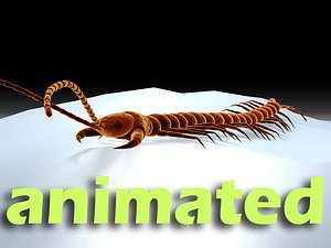 3d centipede dynamic ik model