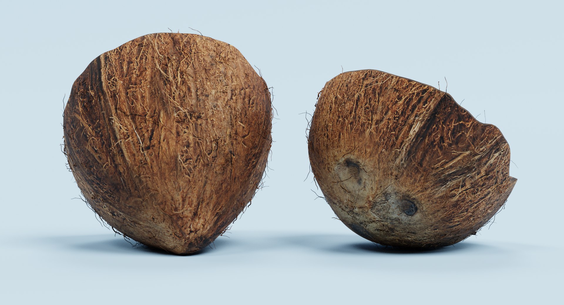 3D model coconut cracked https://p.turbosquid.com/ts-thumb/3h/uZvOlh/2HqIS1XM/coconutcg/png/1515090320/1920x1080/fit_q87/ed44232b54578abae8d732ca0ce56bb67a4898ad/coconutcg.jpg