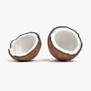 3D model coconut cracked
