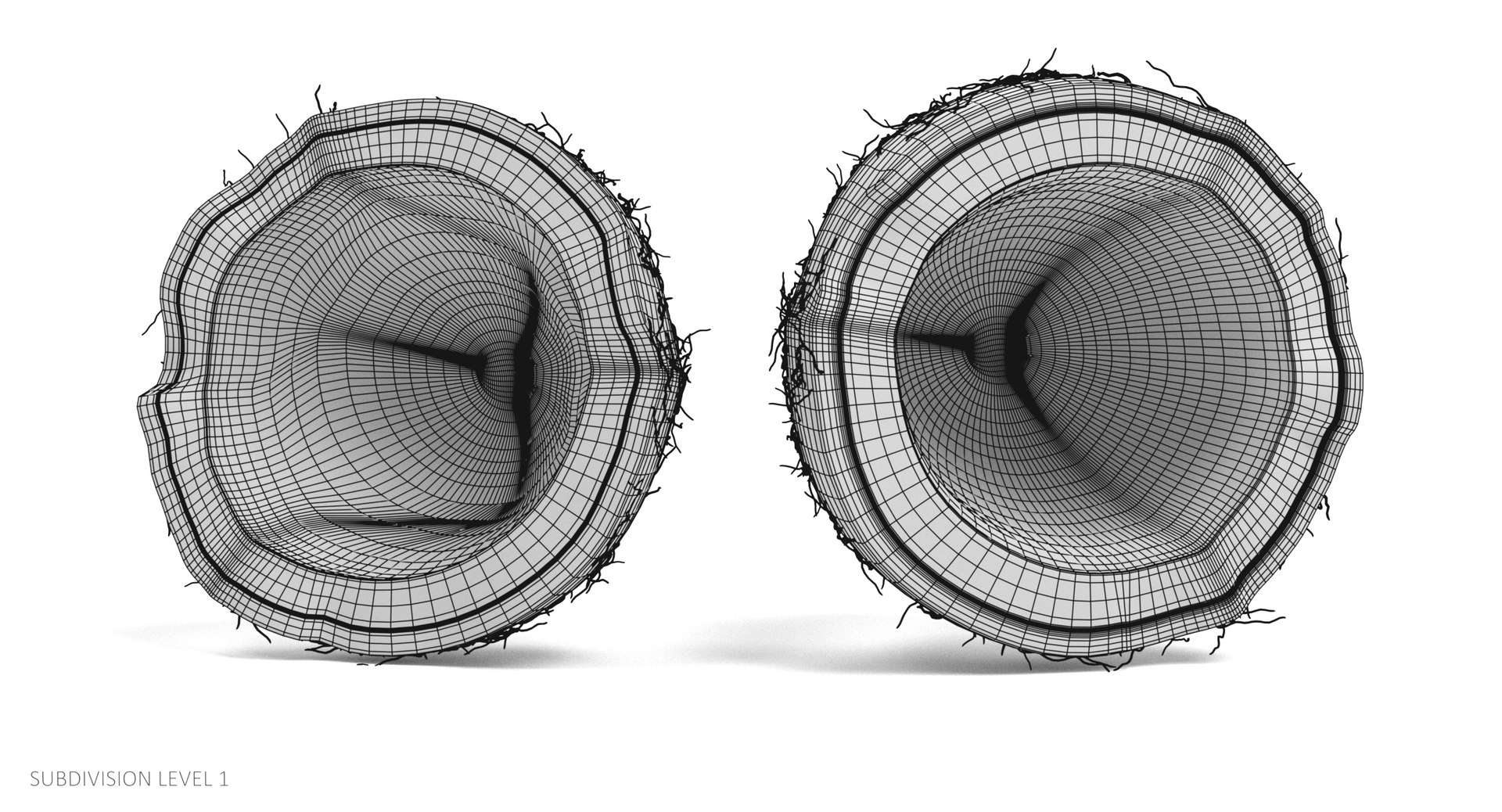 3D model coconut cracked https://p.turbosquid.com/ts-thumb/3h/uZvOlh/iICyqjIs/coconutcw3/png/1515090321/1920x1080/fit_q87/079c3322d3a21de3d8c64bcc26d14a64c22b3ec1/coconutcw3.jpg