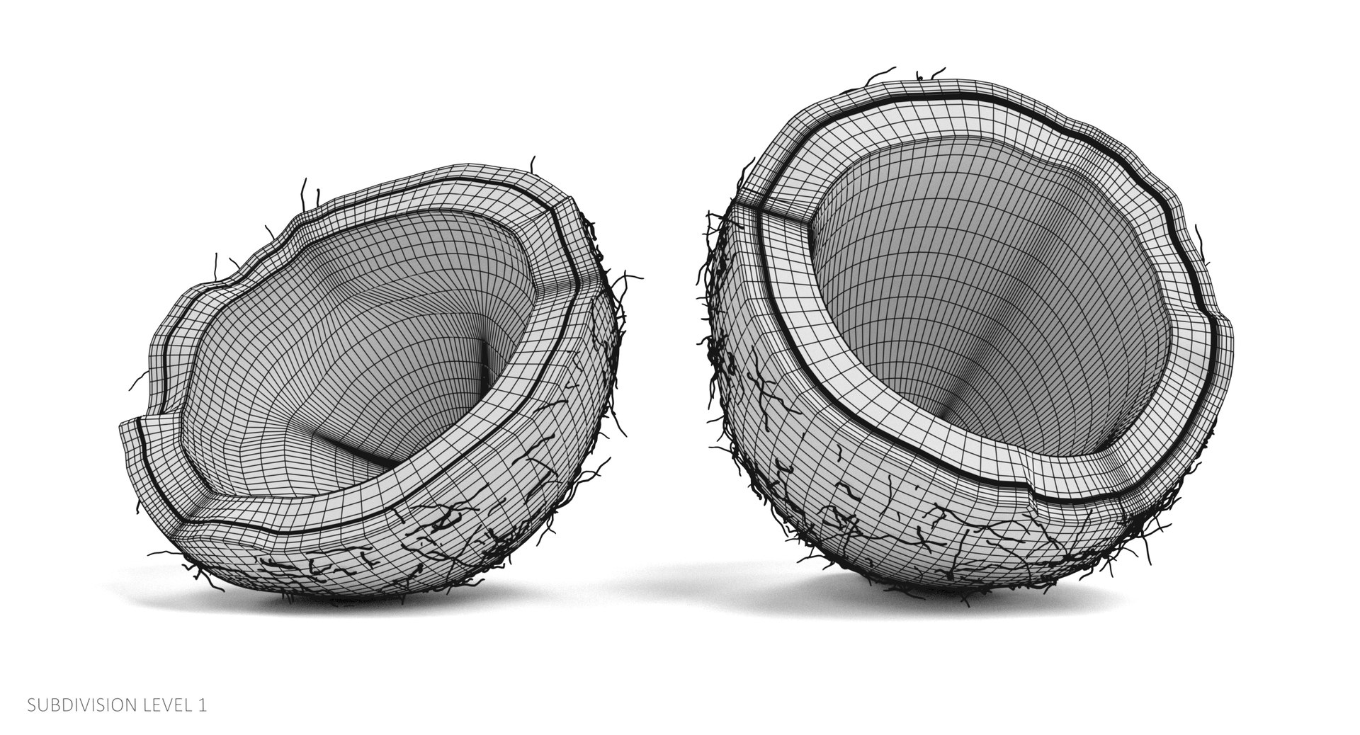 3D model coconut cracked https://p.turbosquid.com/ts-thumb/3h/uZvOlh/nUEkq2IN/coconutcw1/png/1515090321/1920x1080/fit_q87/c531cd0118690509b30227d0fcf7db303772500d/coconutcw1.jpg