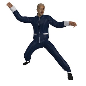 3d rigged martial artist man
