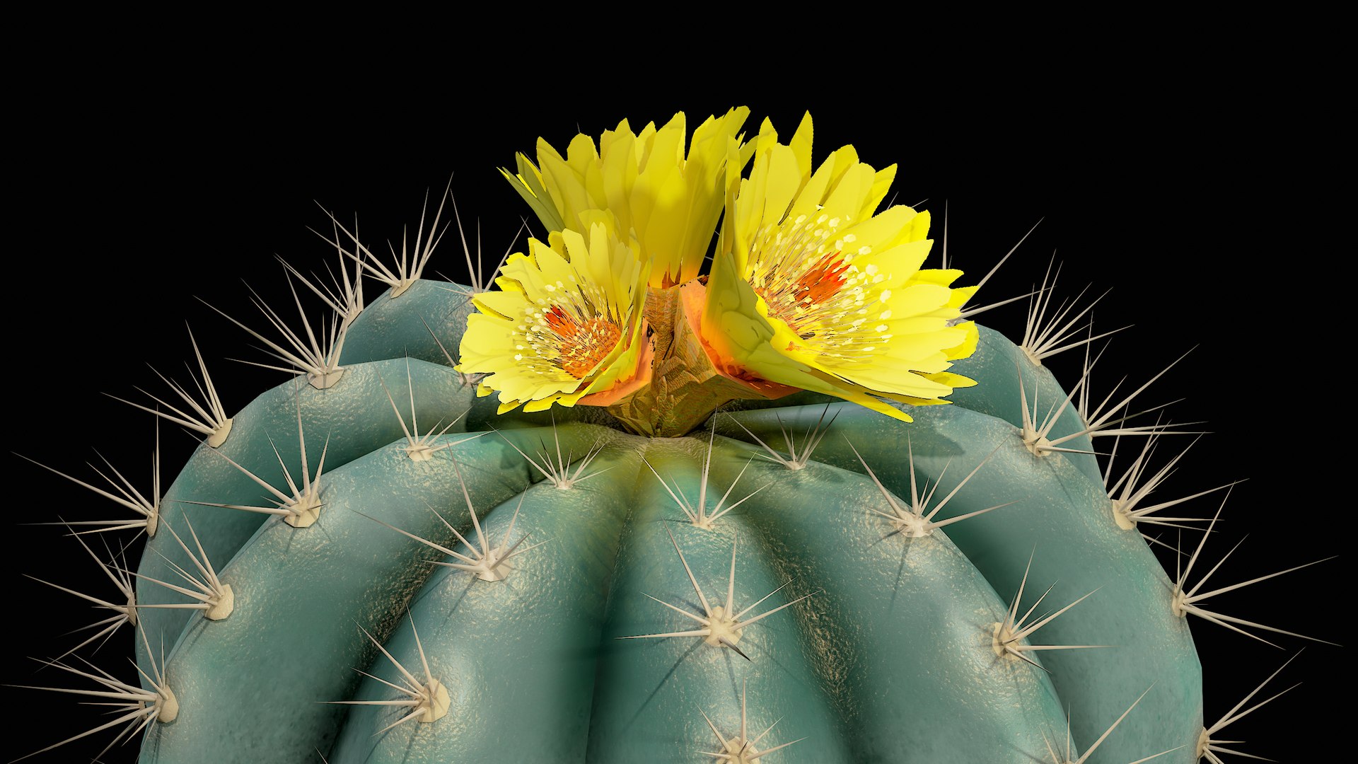 Medium Balloon Cactus Blooming PBR 3D model https://p.turbosquid.com/ts-thumb/3i/6VREPK/1s/r_viewport_013/png/1683898368/1920x1080/fit_q87/07207923f675d0e2a9c0ff7f6ac86f89519ad099/r_viewport_013.jpg