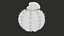 Medium Balloon Cactus Blooming PBR