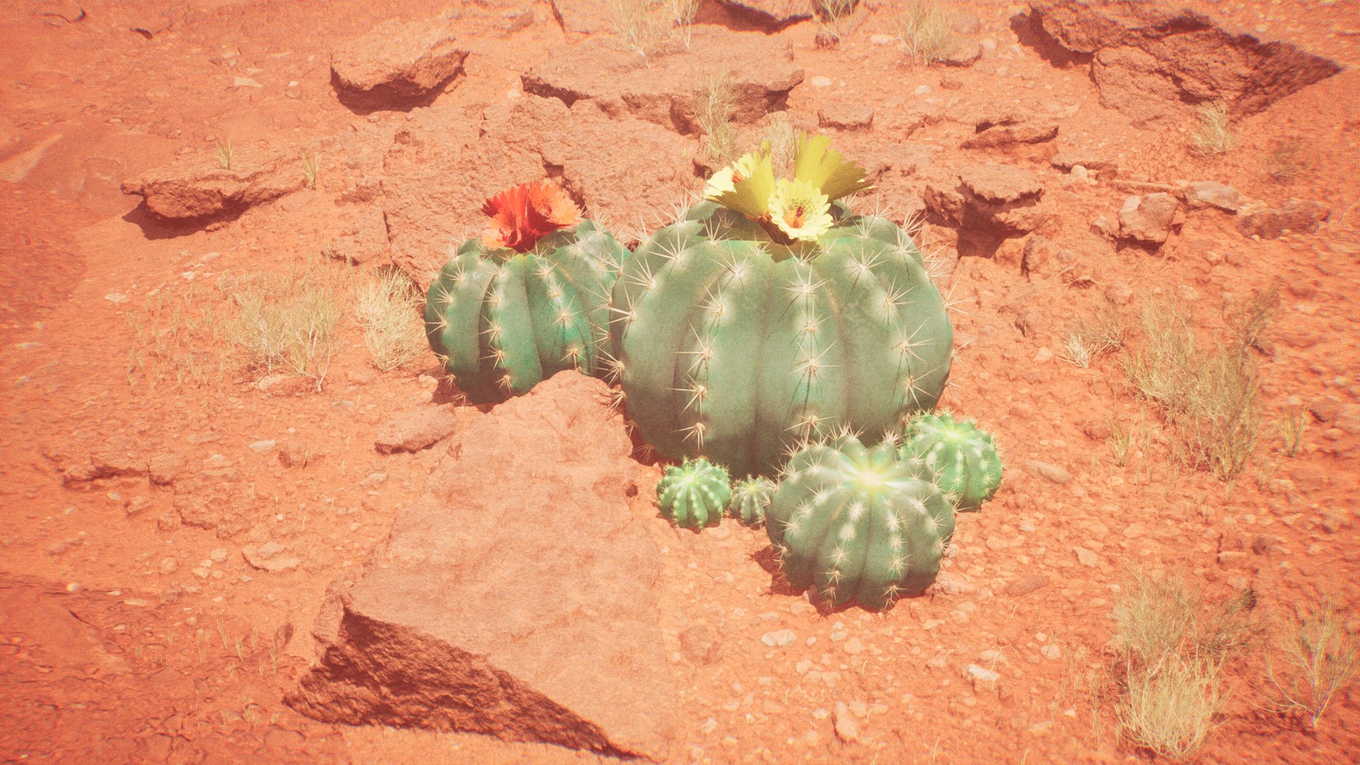 Medium Balloon Cactus Blooming PBR 3D model https://p.turbosquid.com/ts-thumb/3i/6VREPK/JK/main3/png/1683921405/1920x1080/fit_q87/bb491ff2290fb7c8e83e46e356f311b2d9da665b/main3.jpg