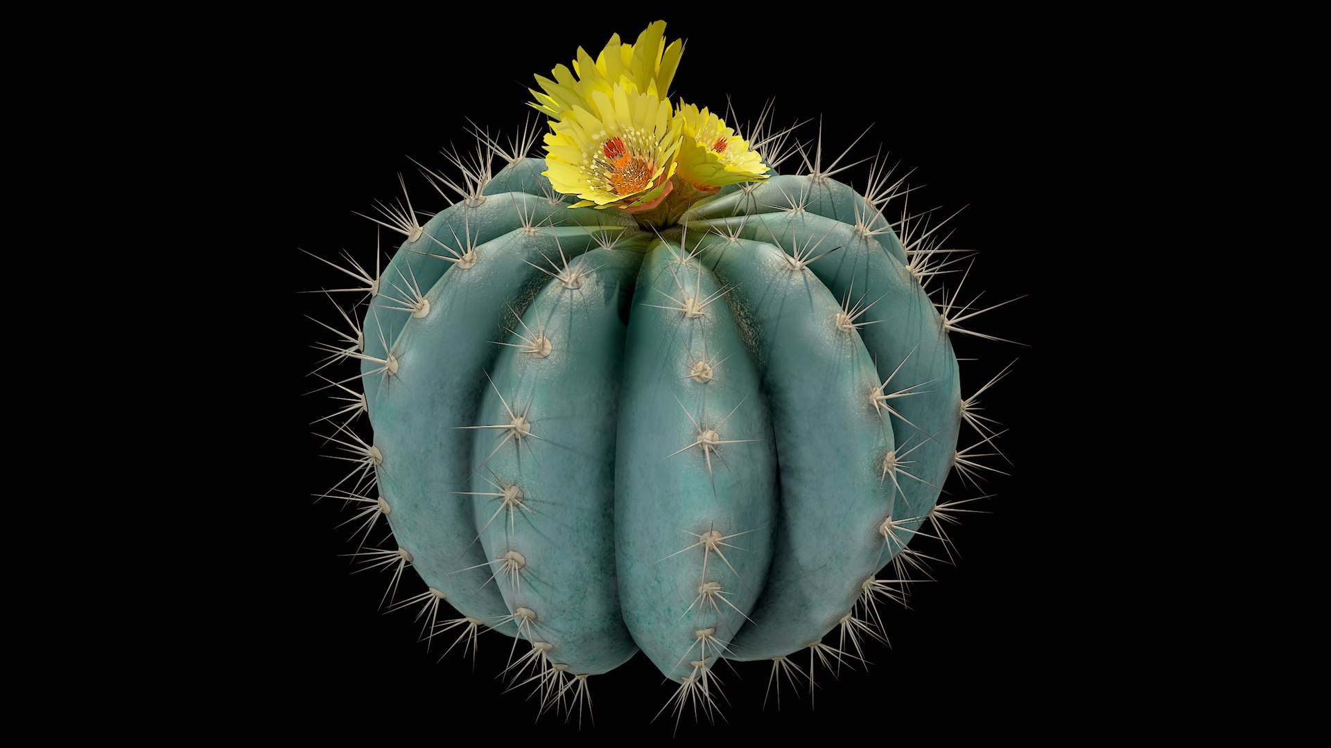 Medium Balloon Cactus Blooming PBR 3D model https://p.turbosquid.com/ts-thumb/3i/6VREPK/Kh/r_viewport_007/png/1683898363/1920x1080/fit_q87/e3d6580f543136fb33d0bc0ed53d2882d9917e00/r_viewport_007.jpg