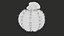 Medium Balloon Cactus Blooming PBR