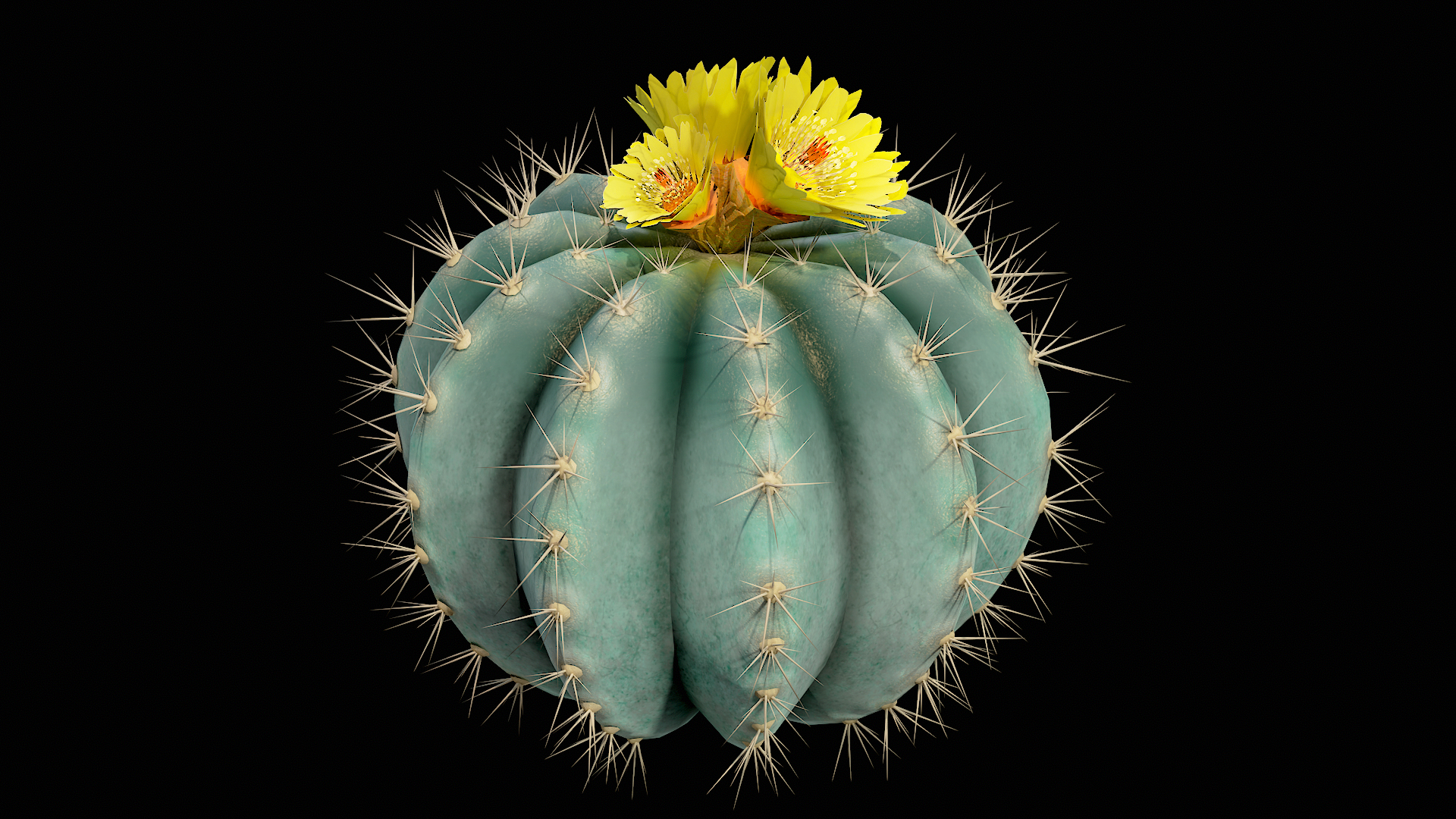 Medium Balloon Cactus Blooming PBR 3D model https://p.turbosquid.com/ts-thumb/3i/6VREPK/g0/00/png/1683898376/1920x1080/turn_fit_q99/c4e87b5b382231aabcf376d70acd11d4728a003c/00-1.jpg