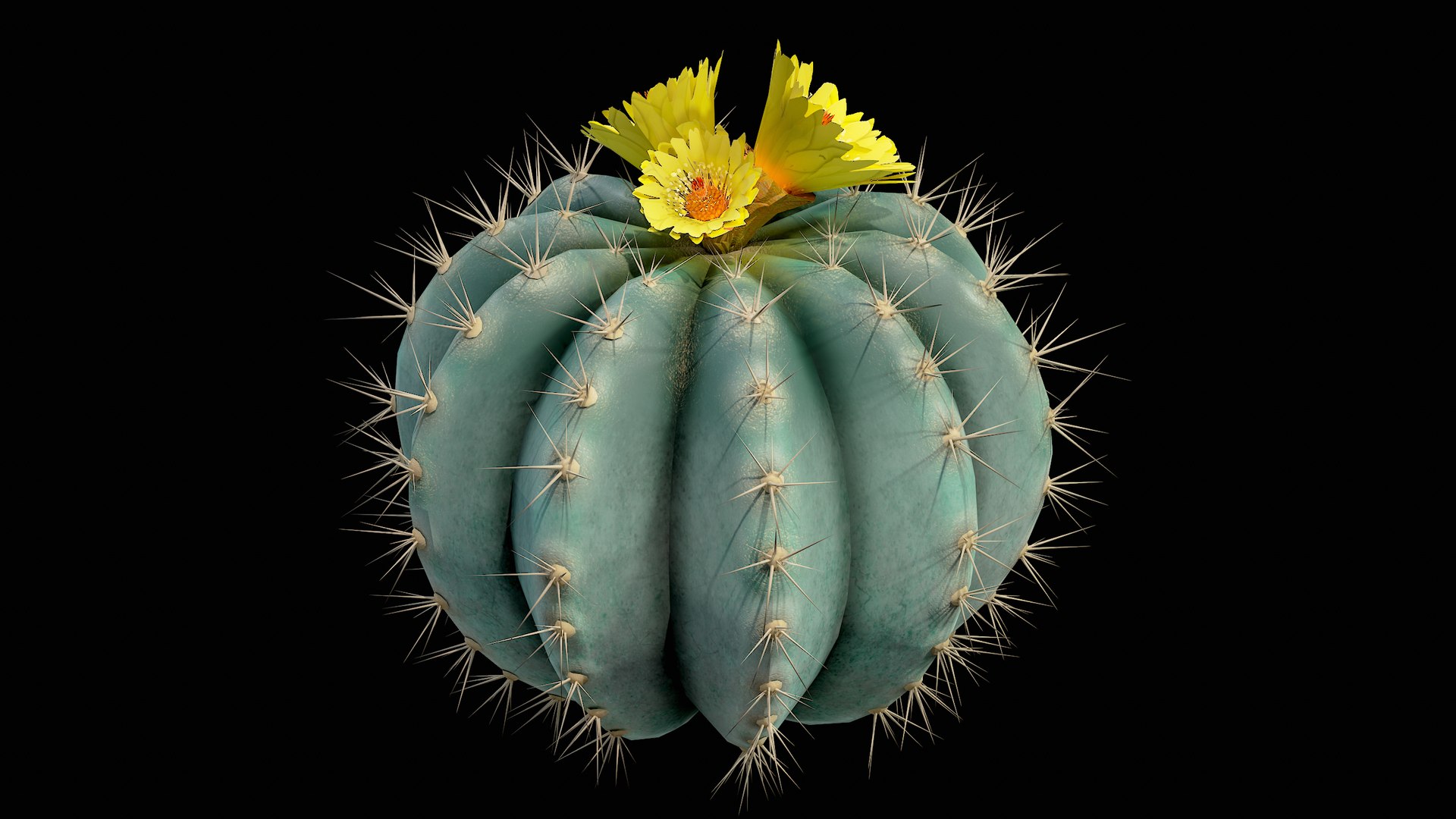 Medium Balloon Cactus Blooming PBR 3D model https://p.turbosquid.com/ts-thumb/3i/6VREPK/q6/r_viewport_004/png/1683898362/1920x1080/fit_q87/08dfc7b8684132a4452d361f9956a86e4ff7680a/r_viewport_004.jpg