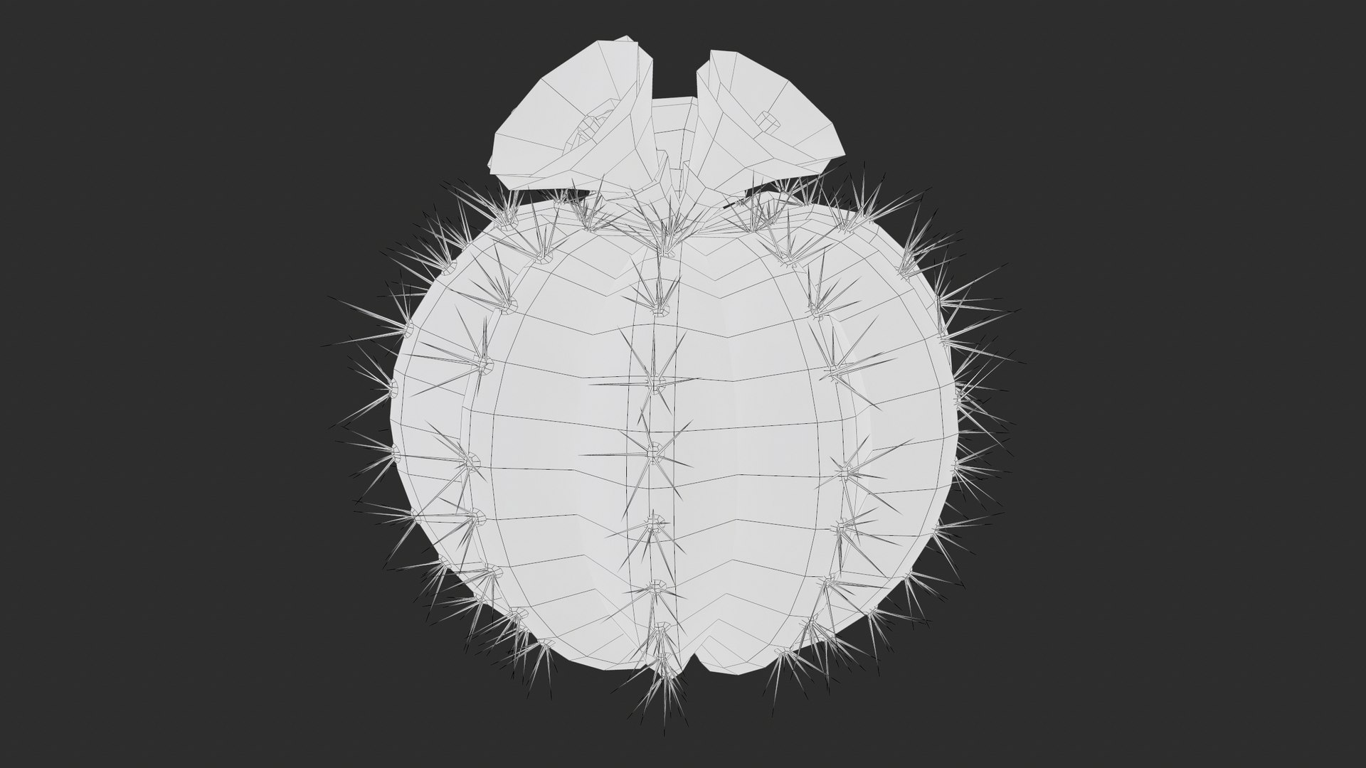 Medium Balloon Cactus Blooming PBR 3D model https://p.turbosquid.com/ts-thumb/3i/6VREPK/qb/screenshot024/png/1683898372/1920x1080/fit_q87/6e6369b6b04502922a4c8fc66a626d7a9cd0e48a/screenshot024.jpg